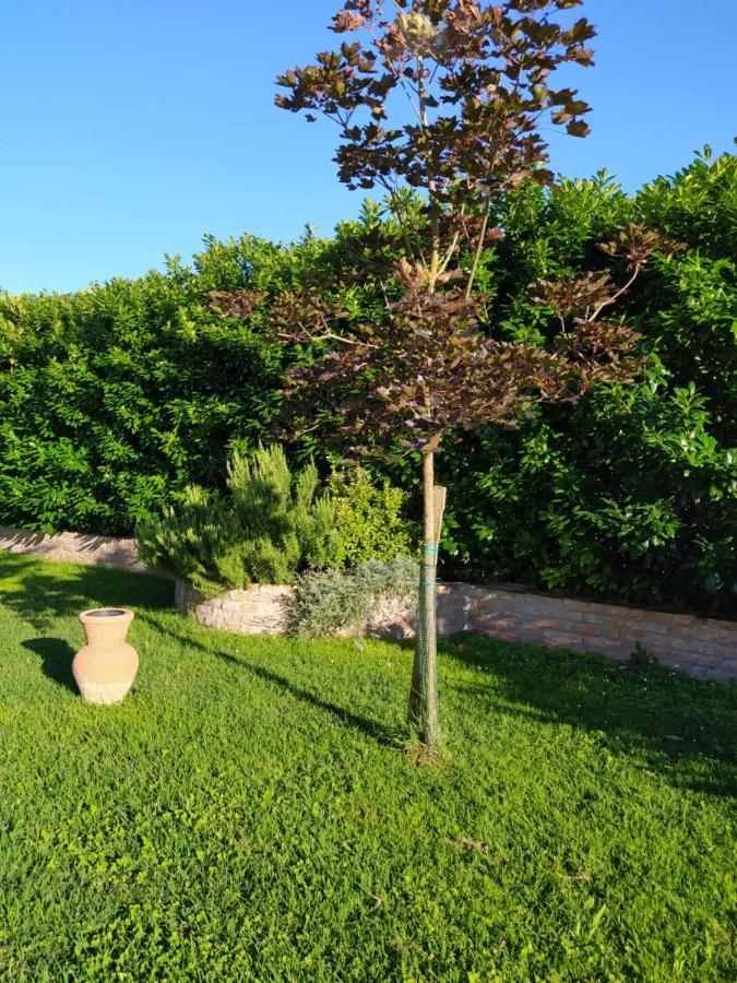 Soggiorno In Relax Correggioverde Extérieur photo